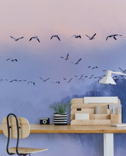 Snow Geese Bird Wallpaper