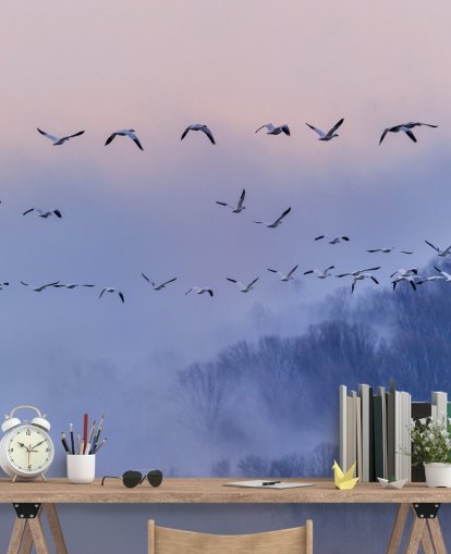 Carta da parati Snow Geese Bird