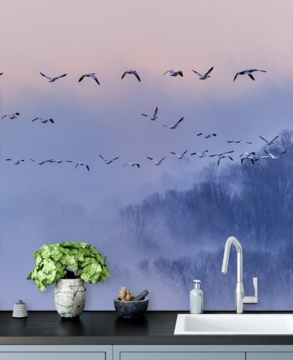 Snow Geese Bird Wallpaper