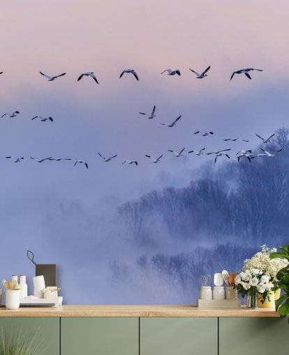 Snø gjess Bird Bakgrunn