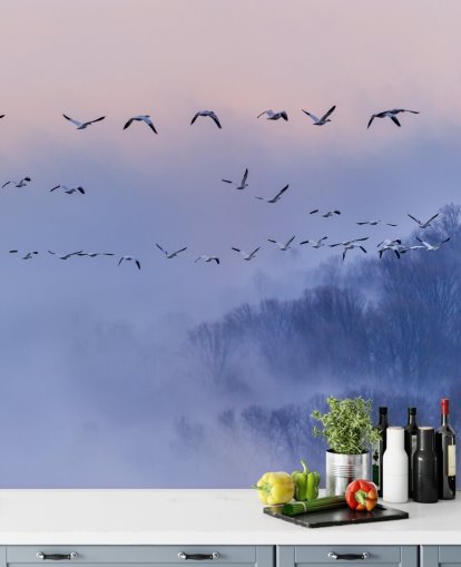 Carta da parati Snow Geese Bird Carta da parati Snow Geese Bird
