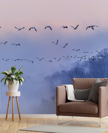 Sne Gæs Bird Baggrund