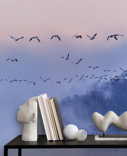 Snögäss Bird Bakgrund Snögäss Bird Bakgrund