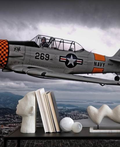 Sfondo Flying Hellcat Aereo Sopra la Costa