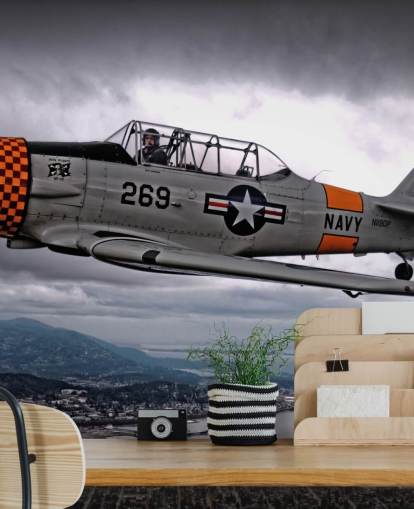 Flying Hellcat Plane Over Kysten Bakgrunn