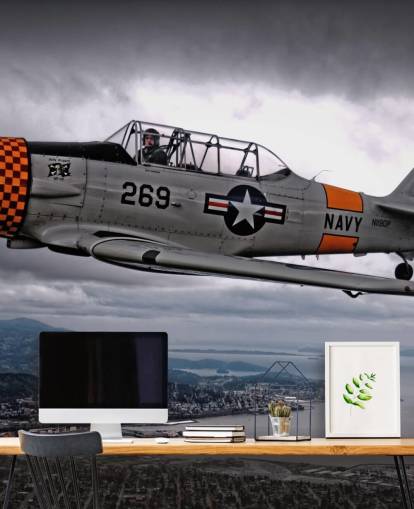 Flyvende Hellcat fly over kysten Baggrund