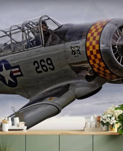 Fondo de pantalla de primer plano de avión