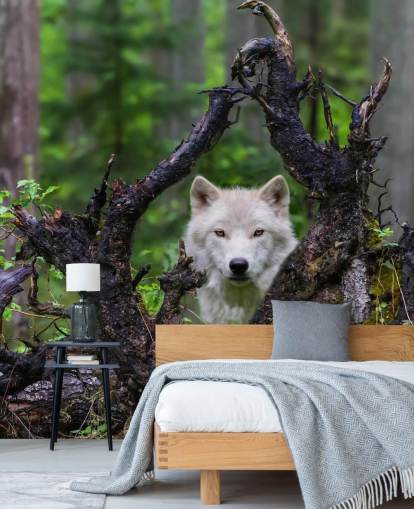 Wolf Gemmer sig i Træ Baggrund