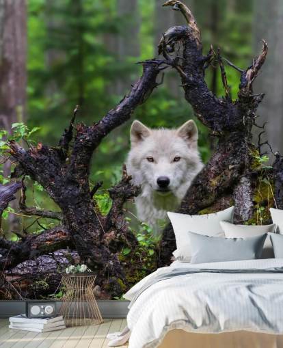 Wolf Hiding in Wood Wallpaper