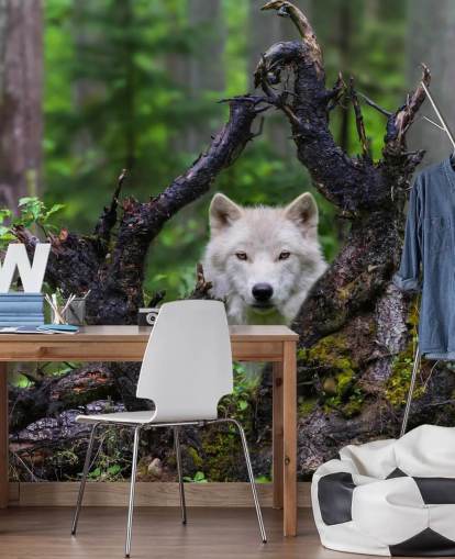 Wolf gömmer sig i trä tapeter