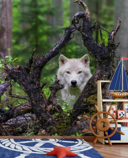 Wolf Gjemmer seg i tre Bakgrunn Wolf Gjemmer seg i tre Bakgrunn