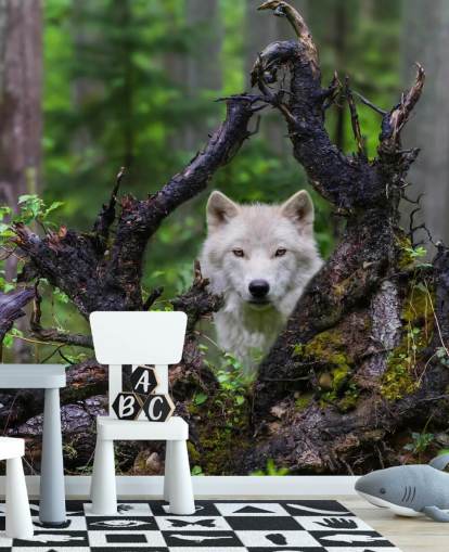 Papel de parede Wolf Hiding in Wood