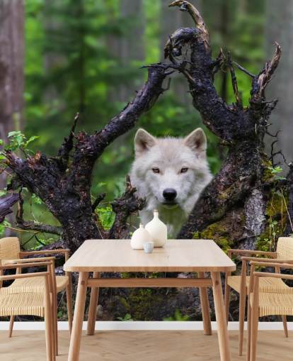 Papel pintado Lobo escondido en madera