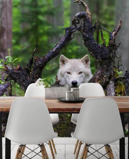 Wolf piilossa puu taustakuva
