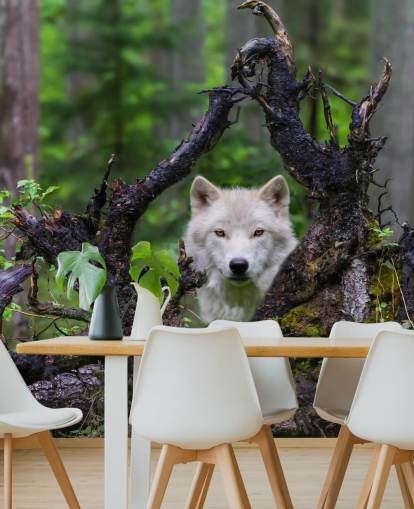 Papel pintado Lobo escondido en madera