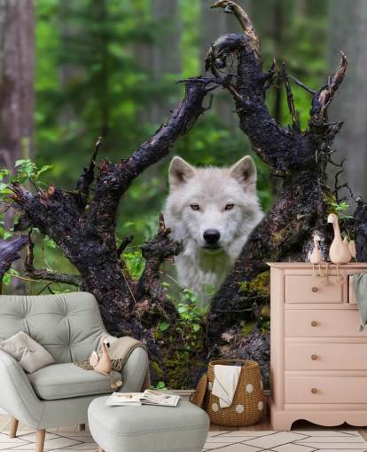 Wolf versteckt sich in Holz-Tapete Wolf versteckt sich in Holz-Tapete