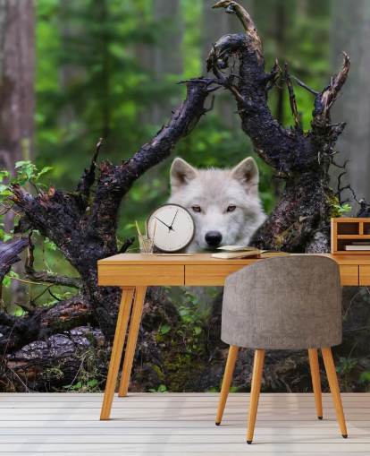 Wolf Hiding in Wood Wallpaper
