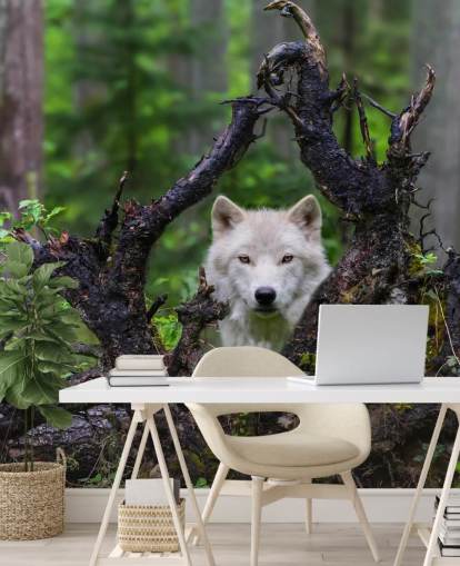 Papel pintado Lobo escondido en madera Papel pintado Lobo escondido en madera