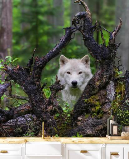 Papier peint loup caché dans le bois Papier peint loup caché dans le bois