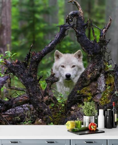 Wolf gömmer sig i trä tapeter