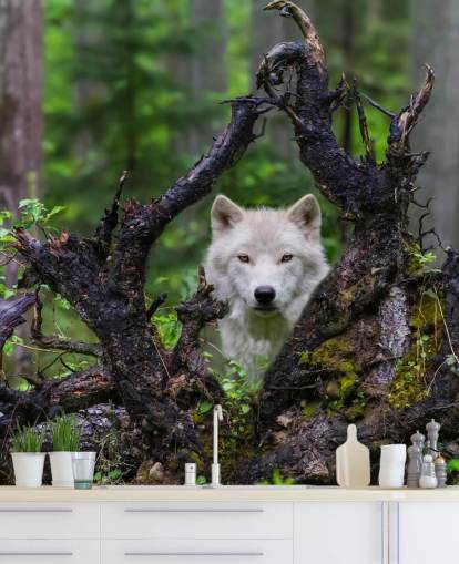 Papel pintado Lobo escondido en madera Papel pintado Lobo escondido en madera