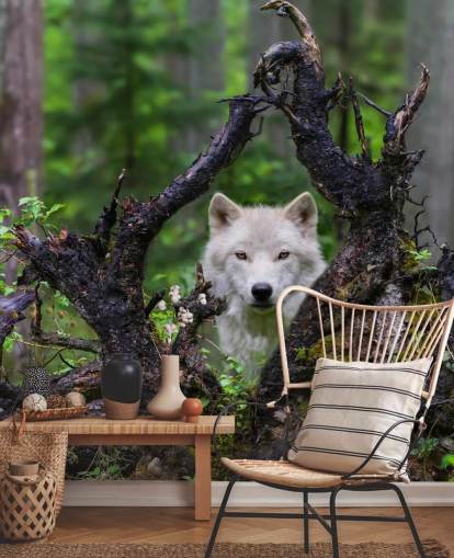 Papier peint loup caché dans le bois Papier peint loup caché dans le bois