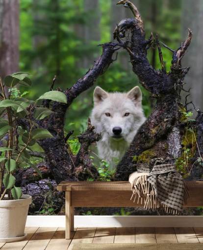 Papel pintado Lobo escondido en madera