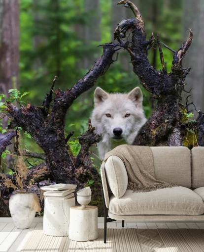 Wolf Hiding in Wood Wallpaper