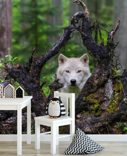 Wolf Hiding in Wood Wallpaper Wolf Hiding in Wood Wallpaper