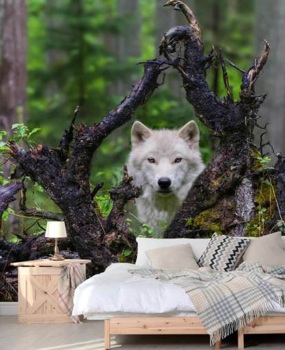 Wolf verstopt in hout behang