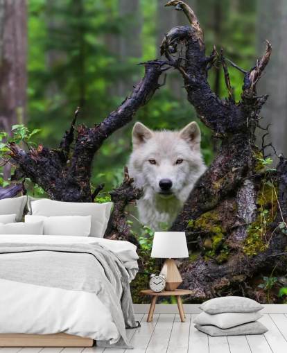 Wolf Hiding in Wood Wallpaper