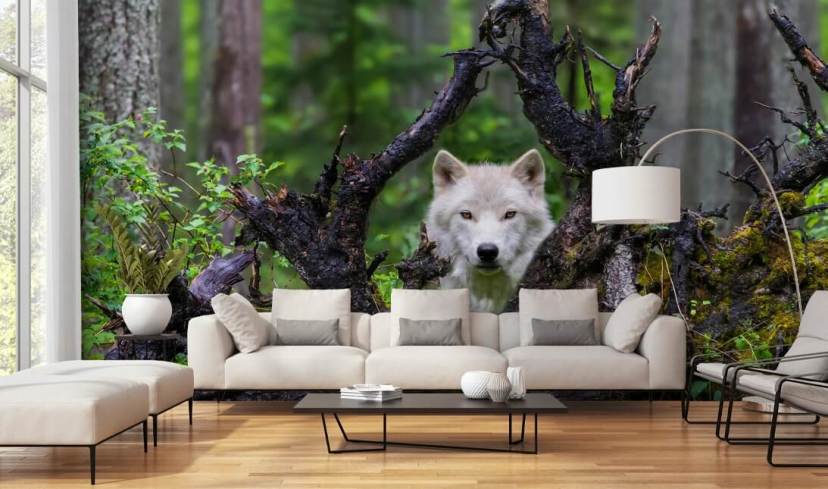 Papier peint loup caché dans le bois