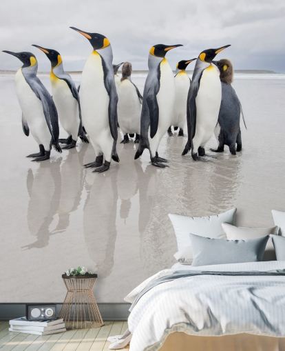 Fondo de pantalla de pingüinos sobre hielo