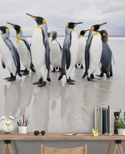 Fondo de pantalla de pingüinos sobre hielo