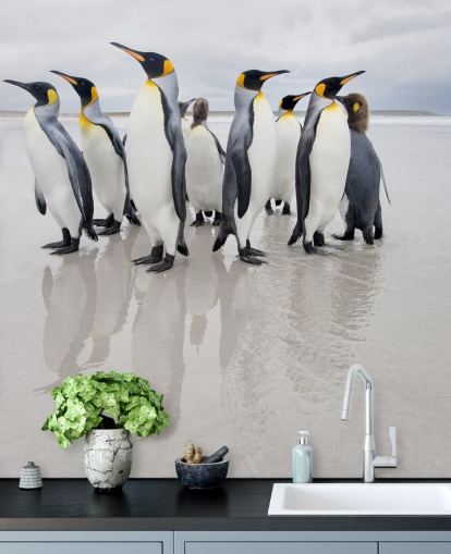 Fondo de pantalla de pingüinos sobre hielo