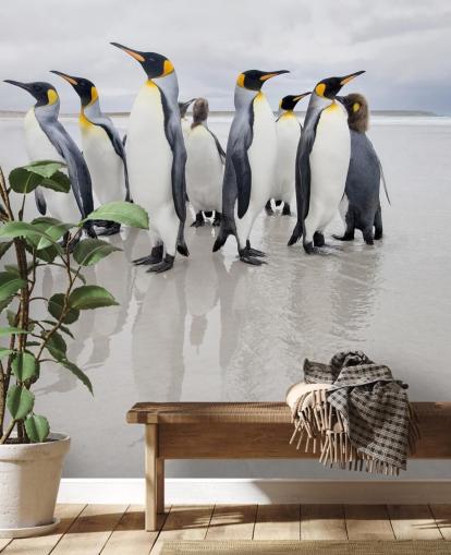 Penguin Group op ijsbehang