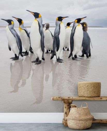 Penguin Group on Ice Wallpaper Penguin Group on Ice Wallpaper