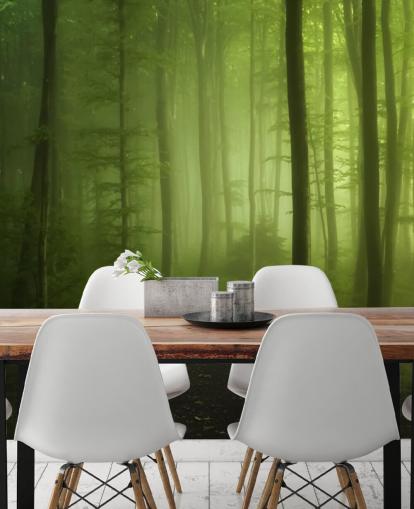 Papel pintado Bosque verde brumoso