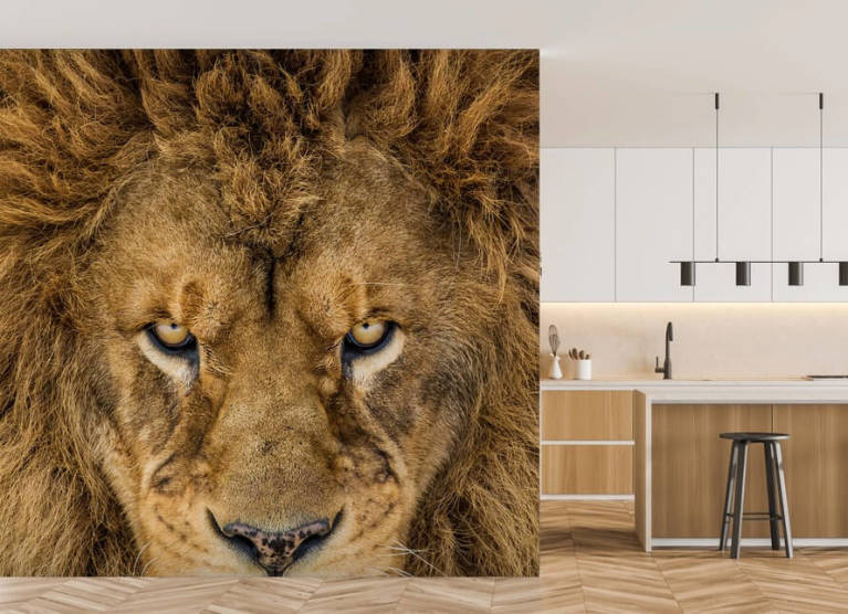 Lion Wallpaper & Wall Murals Wallsauce ZA