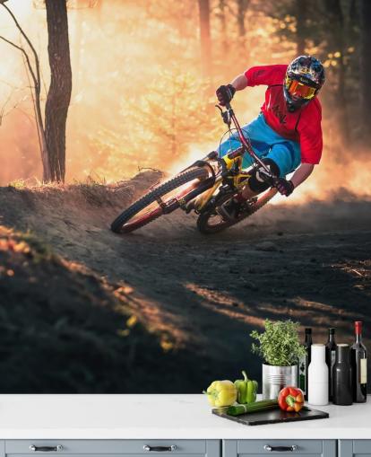 Mountain Biker on Forest Track Wallpaper