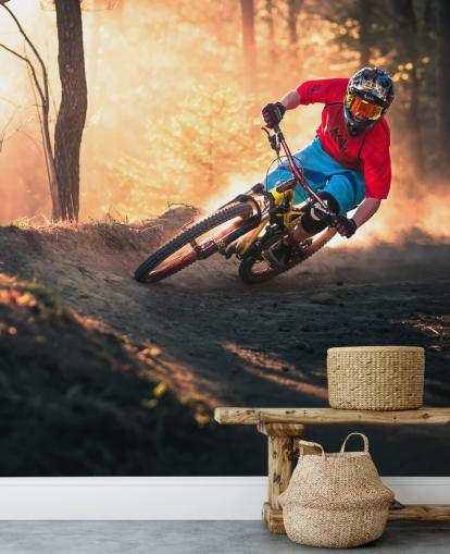 Mountain Biker no papel de parede Forest Track Mountain Biker no papel de parede Forest Track