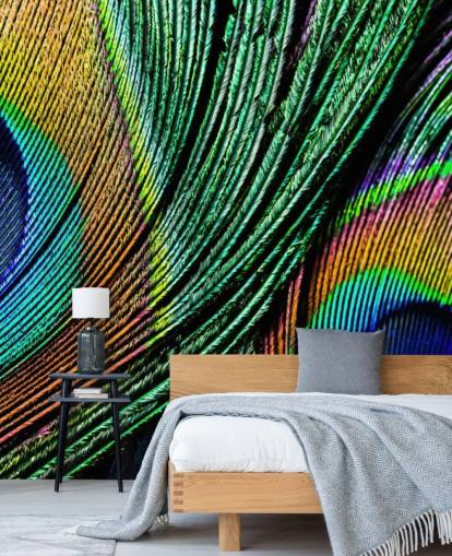 Peacock Feather Close Up Wallpaper Mural 