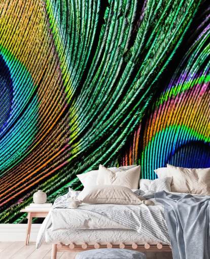 Peacock Feather Close Up Wallpaper Mural 