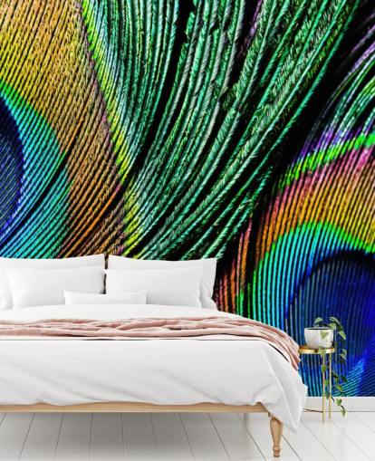 Peacock Feather Close Up Wallpaper Mural Peacock Feather Close Up Wallpaper Mural