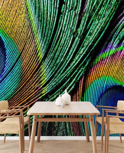 Peacock Feather Close Up Wallpaper Mural 