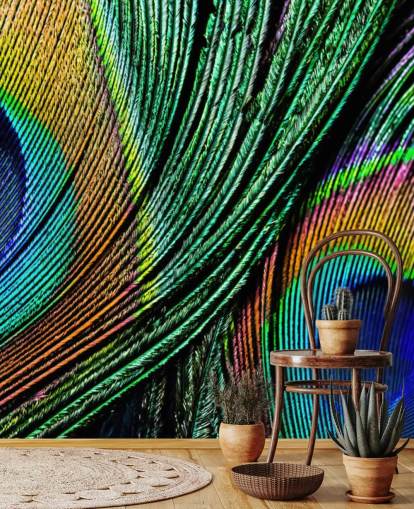 Peacock Feather Close Up Wallpaper Mural 