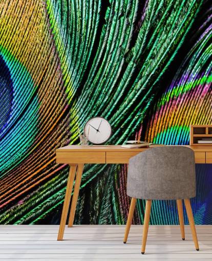 Peacock Feather Close Up Wallpaper Mural 