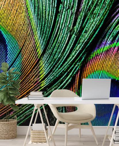 Peacock Feather Close Up Wallpaper Mural 
