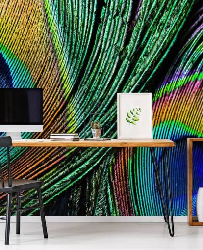 Peacock Feather Close Up Wallpaper Mural 