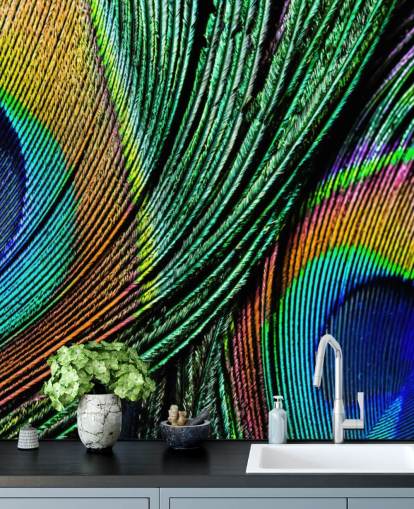 Peacock Feather Close Up Wallpaper Mural 